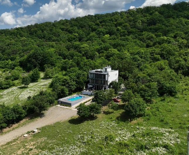 Villa Lapa Telavi Bagian luar foto